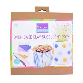 Sculpey succulent planter set
