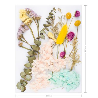 Sušené kvetiny nelisované farebné