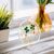 Manumi creative kit Crystal resin coaster with dried flowers