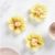 Tissue paper flowers kit - daffodils diameter 13 cm