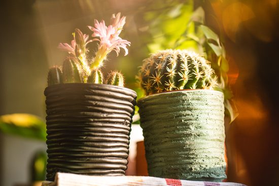 Návod na výrobu květináče ze samotvrdnoucí hmoty a kelímku