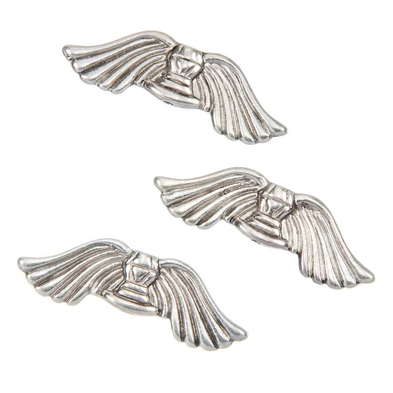 Angel wings silver No.21