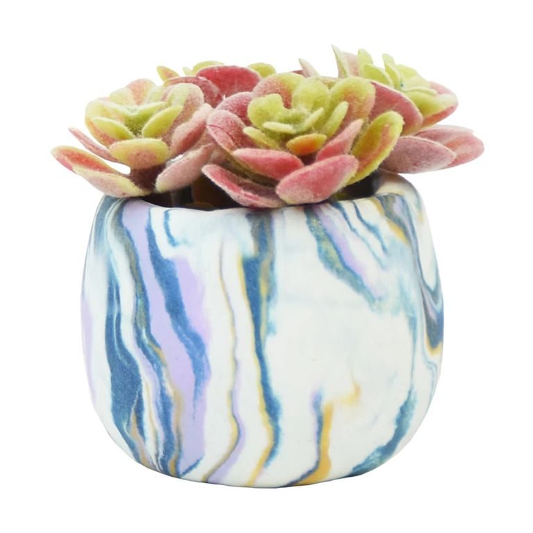 Sculpey succulent planter set