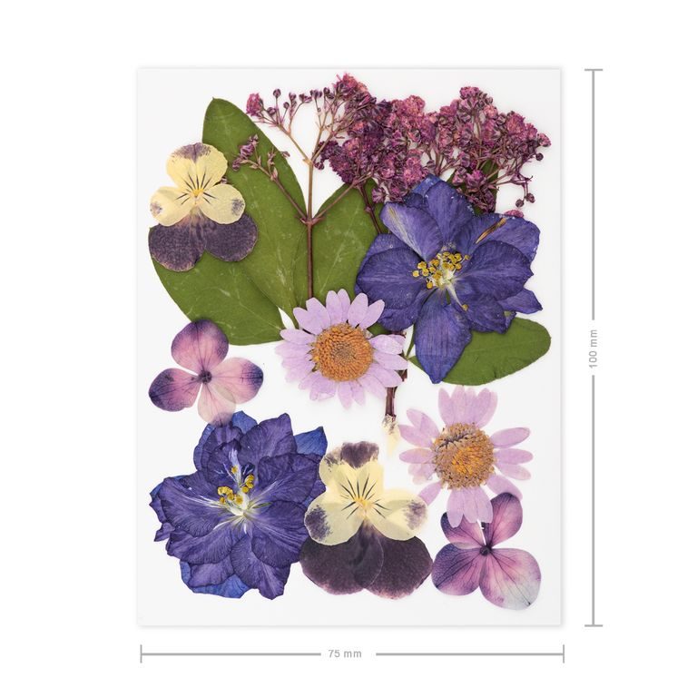 Lisované sušené květiny fialové A7