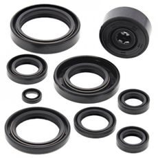 SADA GUFER MOTORU WINDEROSA 822119