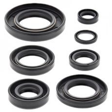 SADA GUFER MOTORU WINDEROSA 822164