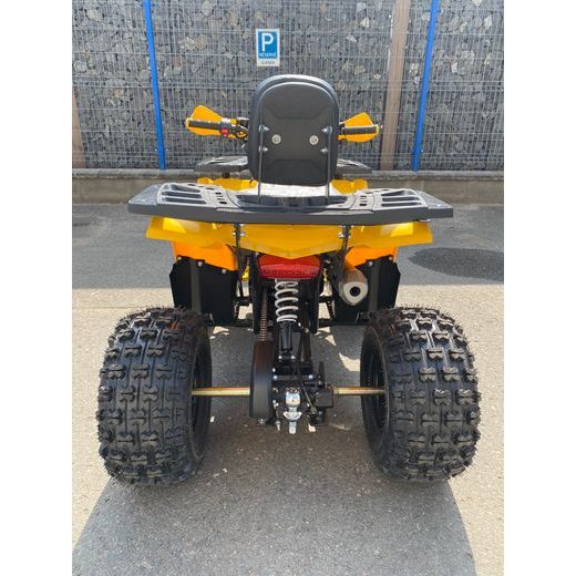 DĚTSKÁ ČTYŘKOLKA PIRANHA VEYRON 125CC 1G8 - ŽLUTÁ