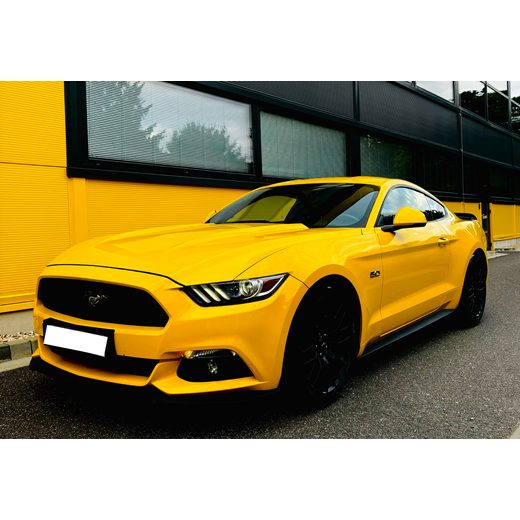 ZAPŮJČENÍ NA 1 TÝDEN