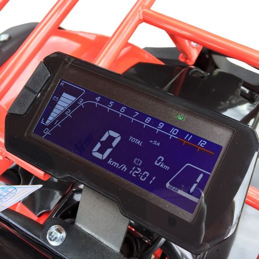 ELEKTRICKÁ ČTYŘKOLKA TORONTO 8" 1000W DIFERENCIÁL