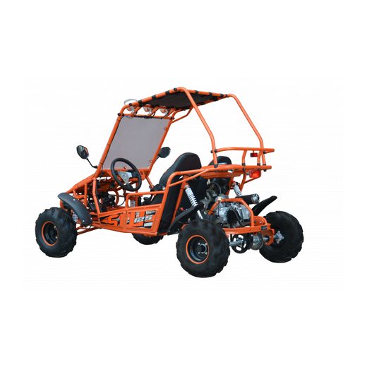 BUGGY 125CC NITRO SUNWAY SPIDER 3GR