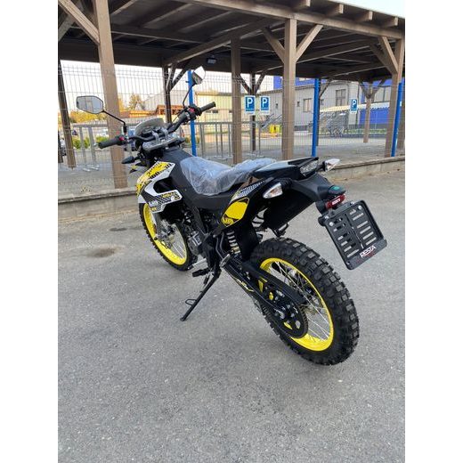UM DSR EX 125