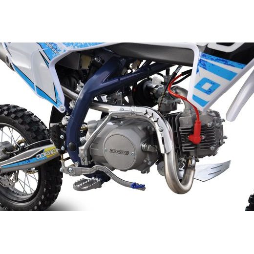 PITBIKE DORADO DT125 17/14