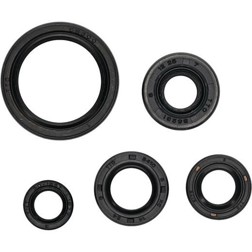 SADA GUFER MOTORU WINDEROSA 822994