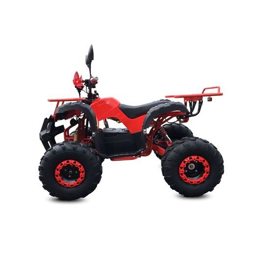 ELEKTRICKÁ ČTYŘKOLKA TORONTO 8" 1000W DIFERENCIÁL