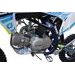 PITBIKE DORADO DT140 17/14