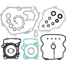 COMPLETE GASKET KIT WITH OIL SEALS WINDEROSA 8110036