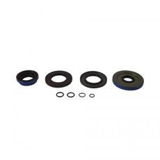 DIFFERENTIAL SEAL ONLY KIT ALL BALLS RACING DB25-2112-5
