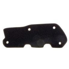 FILTER ZRAKA NYPSO 100602481