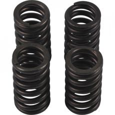 VALVE SPRING KIT HOT CAMS VSK2002