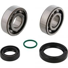 CRANKSHAFT BEARING KIT ALL BALLS RACING CB24-1131