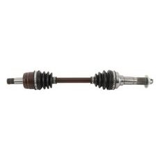 AXLE ALL BALLS RACING AB6-YA-8-310 6BALL