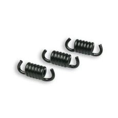 RACING CLUTCH SPRING MALOSSI 298745B