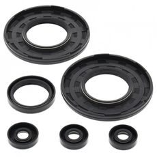 ENGINE OIL SEAL KIT WINDEROSA EOSK 55181