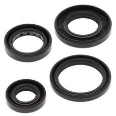 ENGINE OIL SEAL KIT WINDEROSA EOSK 822250
