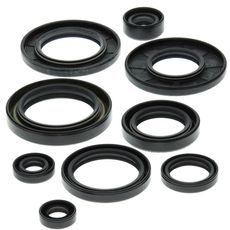 ENGINE OIL SEAL KIT WINDEROSA EOSK 822148