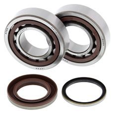 CRANKSHAFT BEARING AND SEAL KIT ALL BALLS RACING CB24-1105