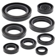 ENGINE OIL SEAL KIT WINDEROSA 822106