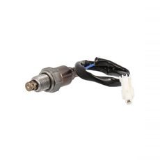 OXYGEN SENSOR RMS 100120670