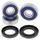 Wheel Bearing Kit All Balls Racing WB25-1710