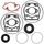 Complete Gasket Kit with Oil Seals WINDEROSA CGKOS 711170