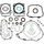 Complete Gasket Kit with Oil Seals WINDEROSA 8110044