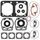 Complete Gasket Kit with Oil Seals WINDEROSA CGKOS 711178