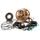 Bottom end kit HOT RODS CBK0176