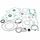 Complete Gasket Kit with Oil Seals WINDEROSA CGKOS 8110028