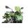 Windshield PUIG NEW. GEN TOURING 9392V green