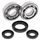 Crankshaft bearing and seal kit All Balls Racing CB24-1028