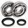 Crankshaft bearing and seal kit All Balls Racing CB24-1021