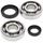 Crankshaft bearing and seal kit All Balls Racing CB24-1003