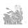 Windscreen PUIG TOURING WITH VISOR 22458W clear