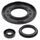 Engine Oil Seal Kit WINDEROSA EOSK 55217