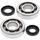 Crankshaft bearing and seal kit All Balls Racing CB24-1047