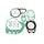 Set dihtunga za motor KOMPLETAN ATHENA P400510850022