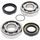Crankshaft bearing and seal kit All Balls Racing CB24-1066