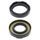 Crankshaft Seal Kit All Balls Racing CS24-2023
