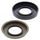 Oil seal set WINDEROSA 622802