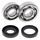 Crankshaft bearing and seal kit All Balls Racing CB24-1023